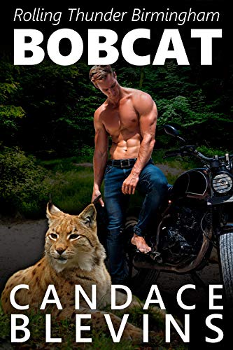 Bobcat book cover