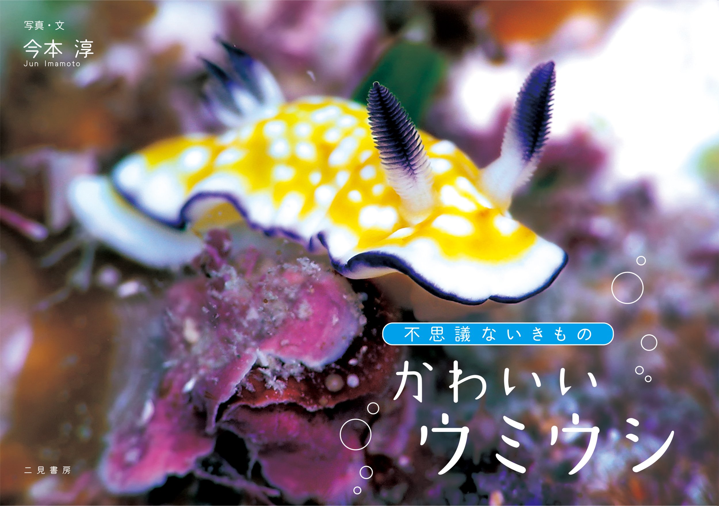 不思議ないきもの かわいいウミウシ By 今本 淳 Goodreads