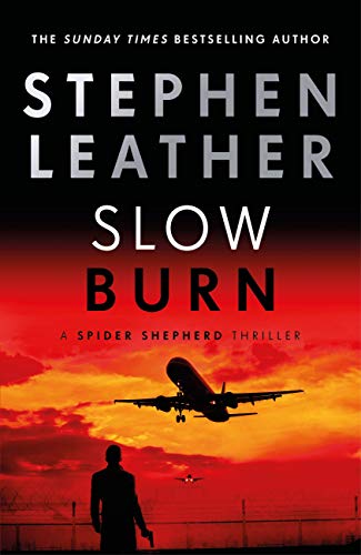 Slow Burn book cover