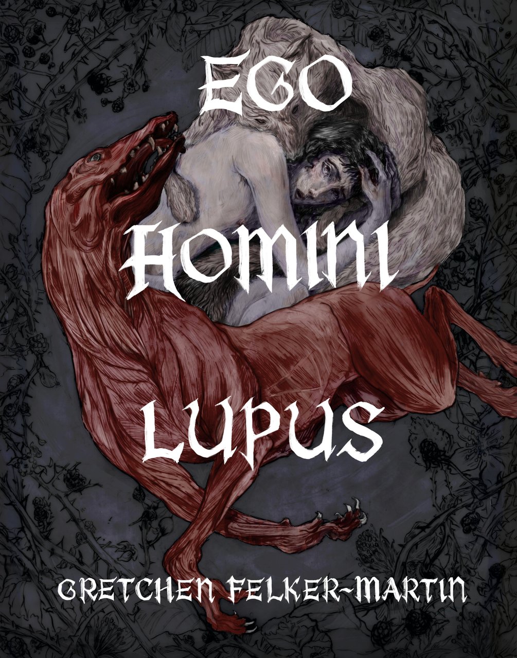 Ego Homini Lupus