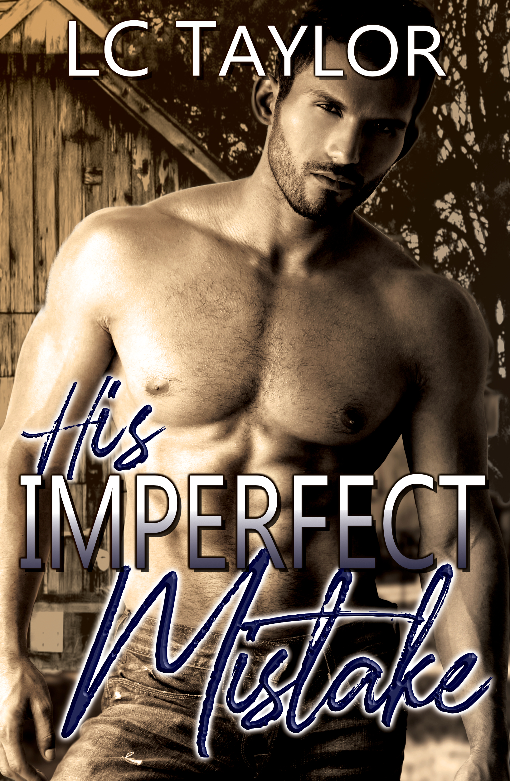 His Imperfect Mistake book cover