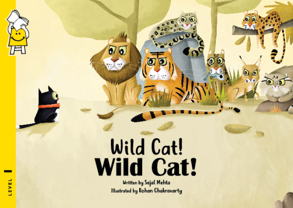 洋書 The Wild Cat Book Amazon.com: The Wild Cats of Piran: Chronicle One