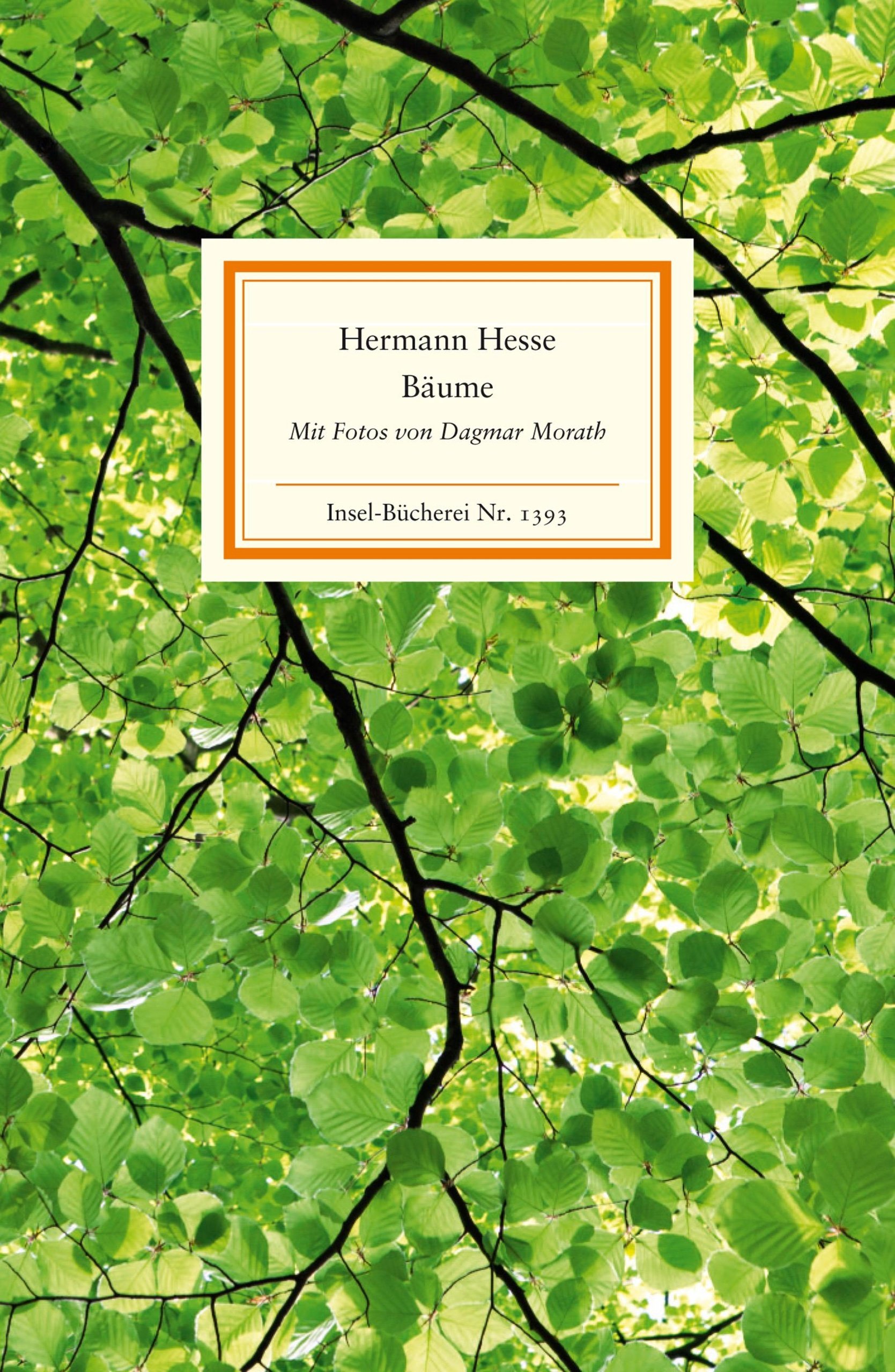 Bäume (Insel-Bücherei) book cover