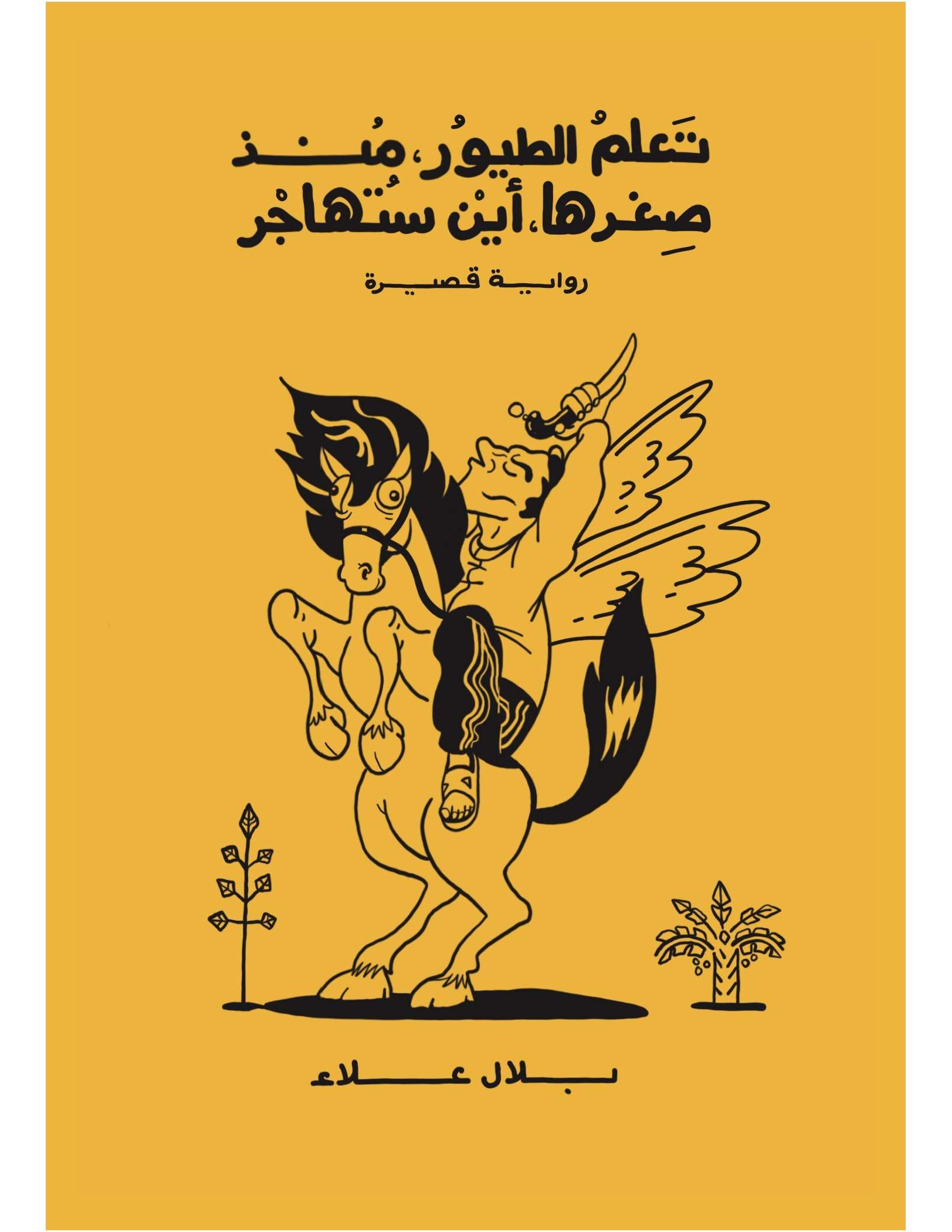 تعلم الطيور منذ صغرها أين ستهاجر book cover