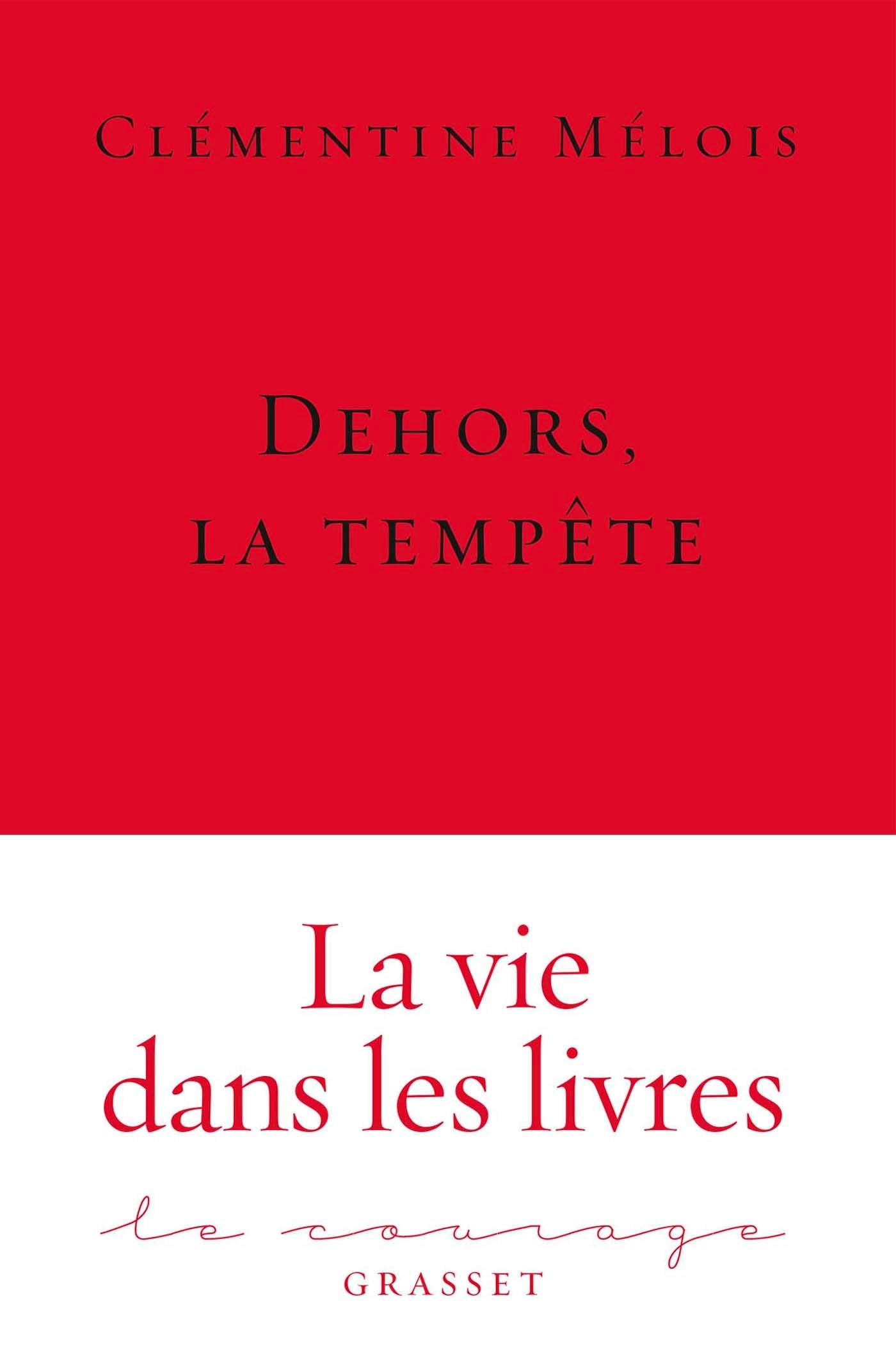 Dehors, la tempête book cover