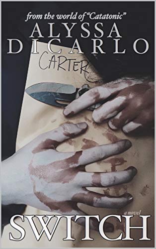 Catatonic book cover 2