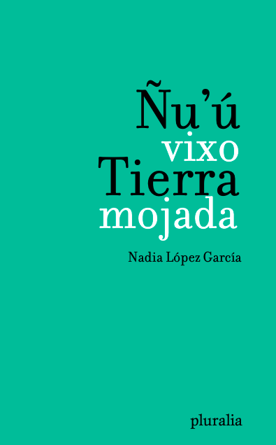 Ñu'ú vixo / Tierra mojada