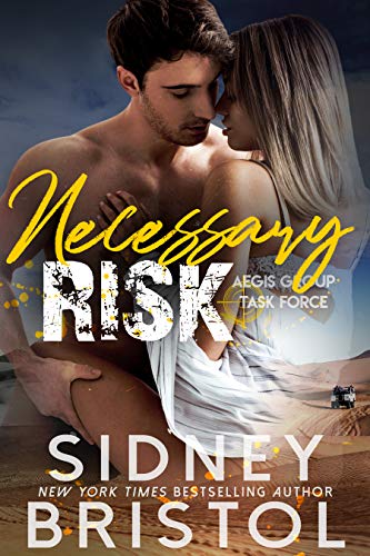 Necessary Risk book cover