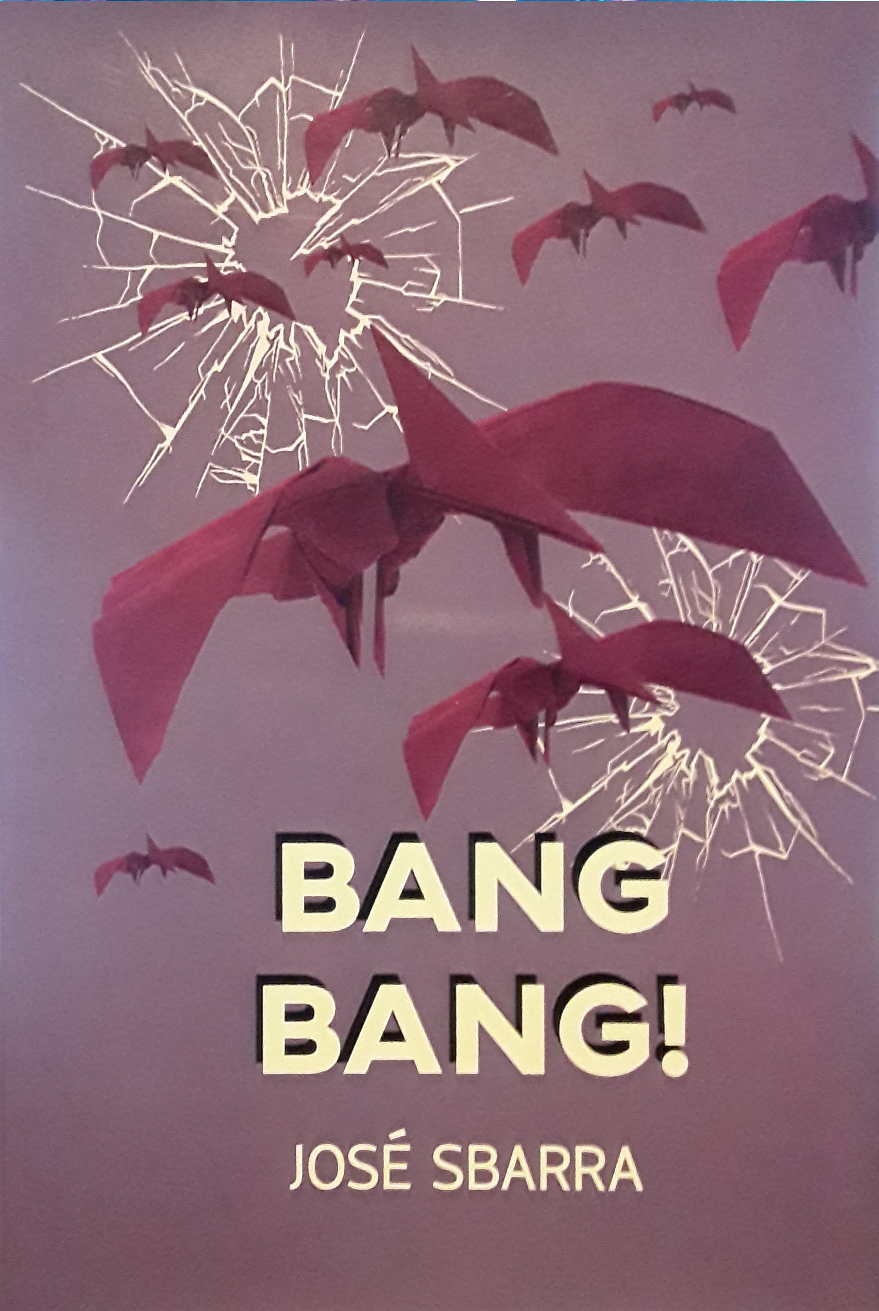 Bang Bang! book cover