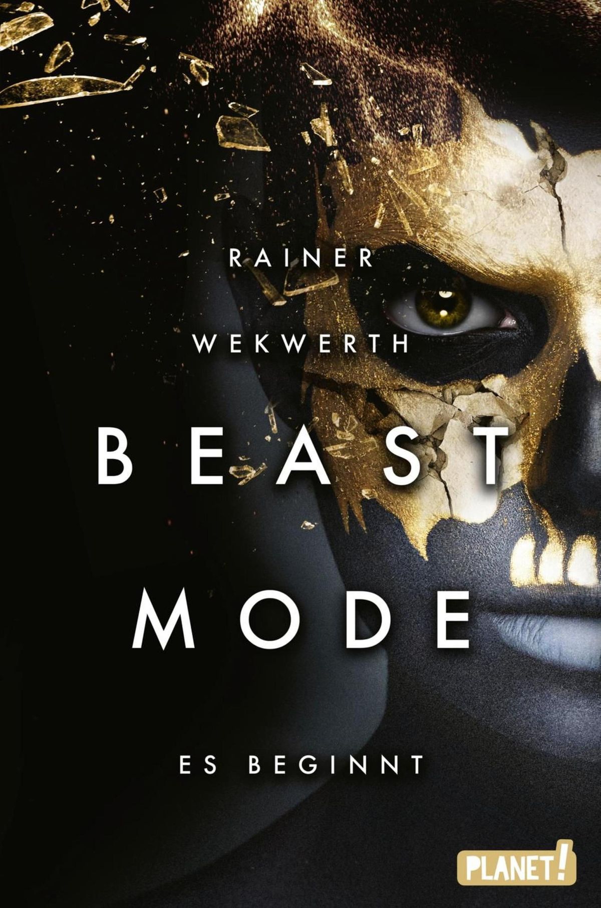 Es beginnt book cover