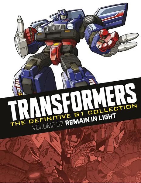Remain in Light book cover
