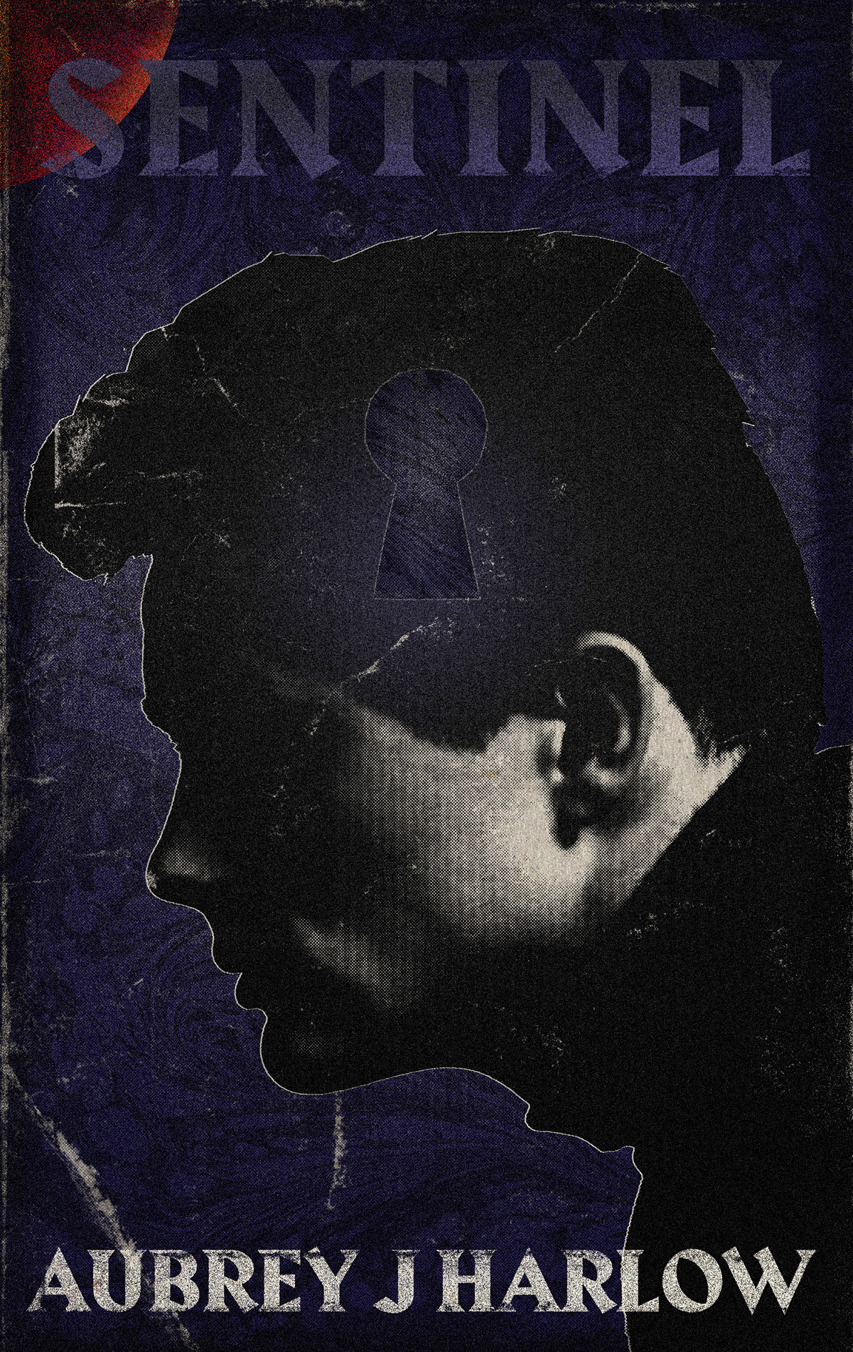 Sentinel by Aubrey J Harlow | Goodreads