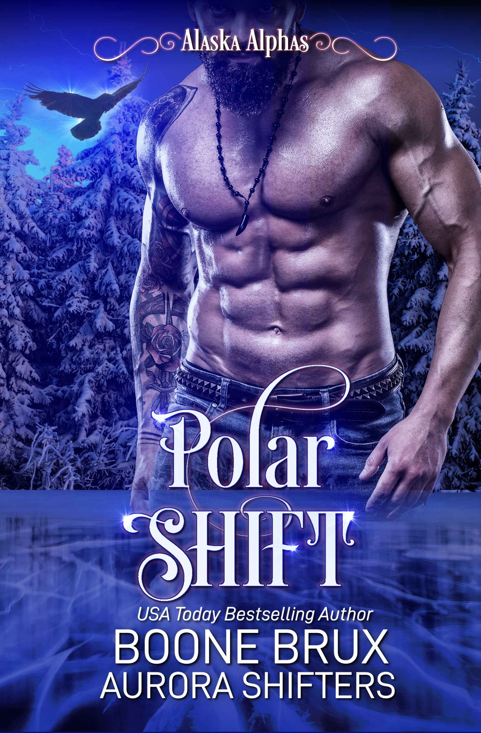 Polar Shift book cover