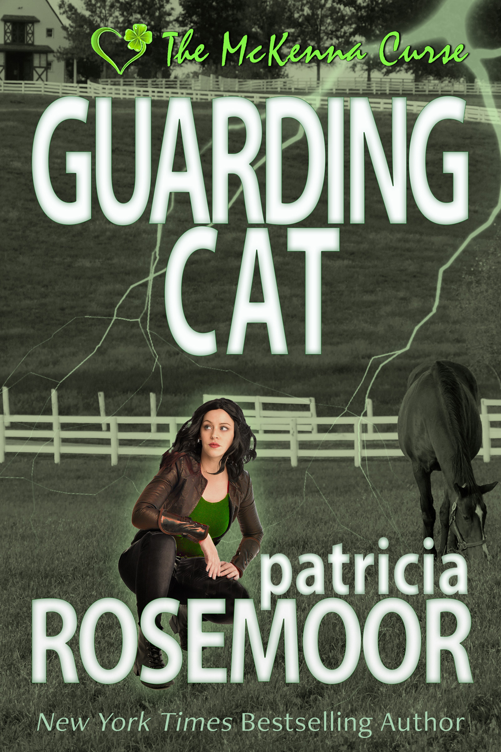 Guarding Cat book cover