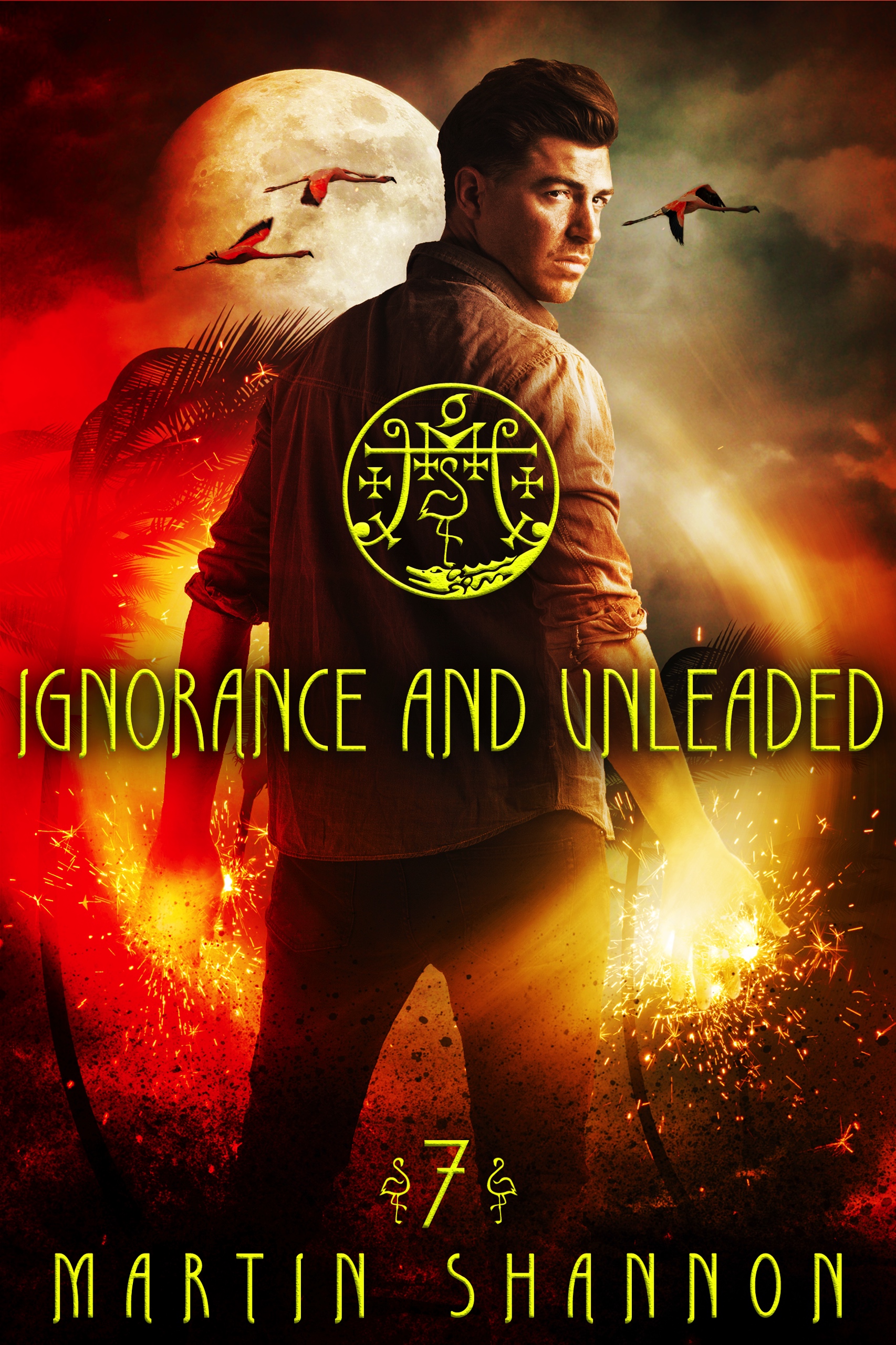 Ignorance and Unleaded book cover