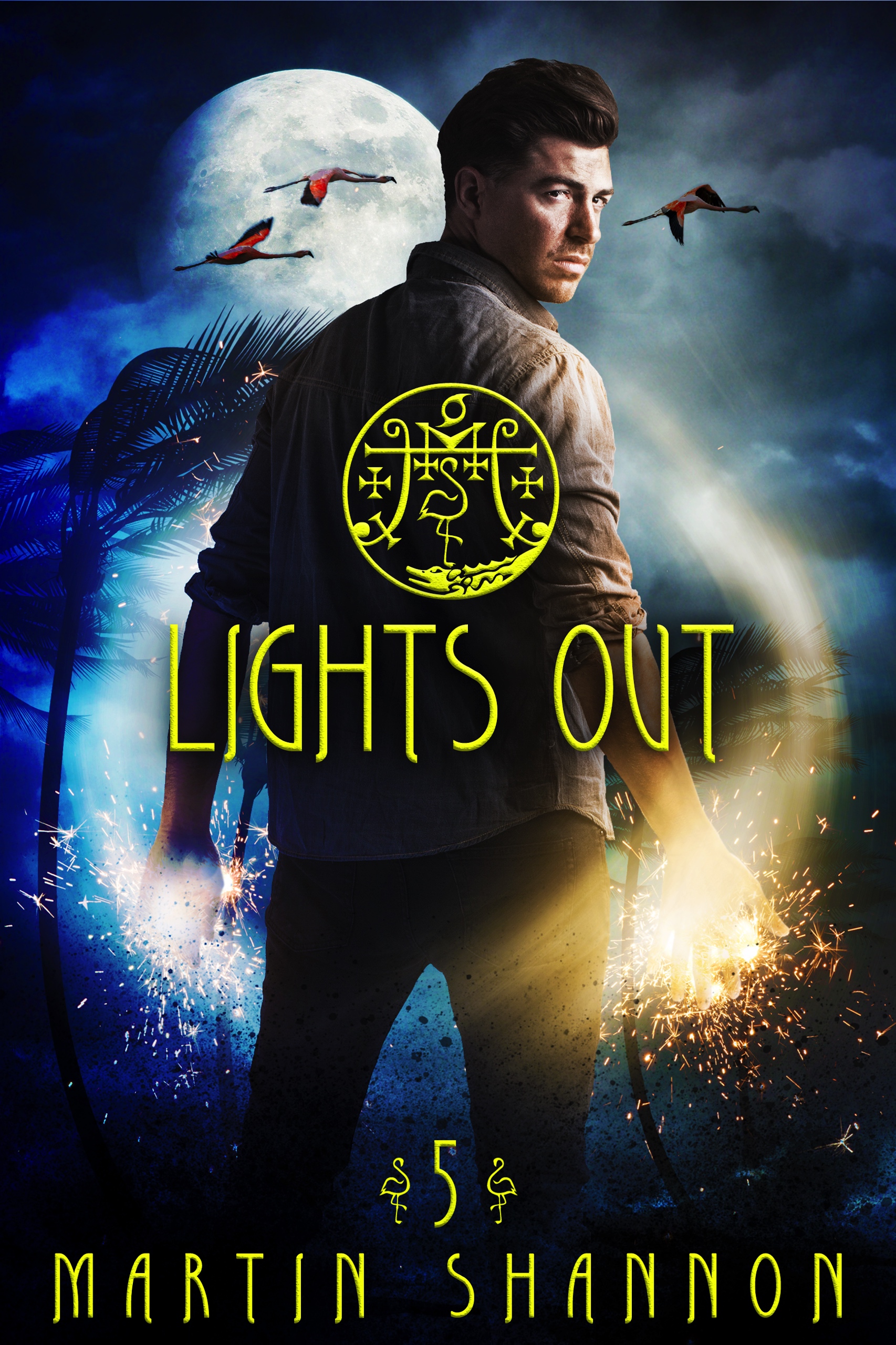Lights Out book cover