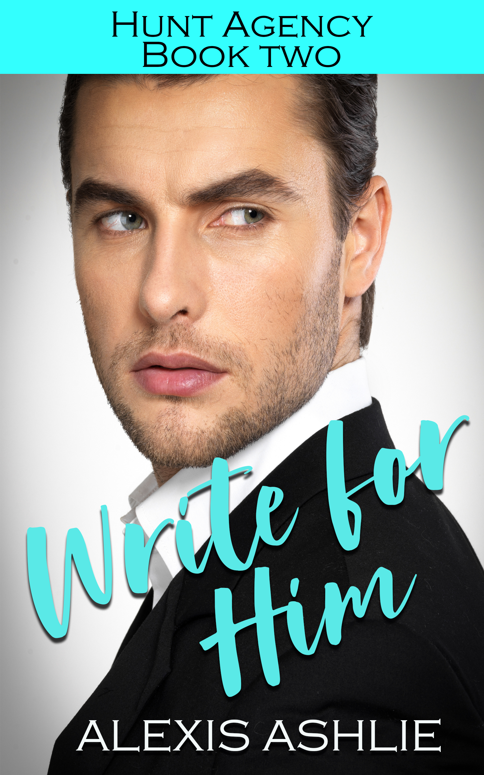 Hunt Agency book cover 2