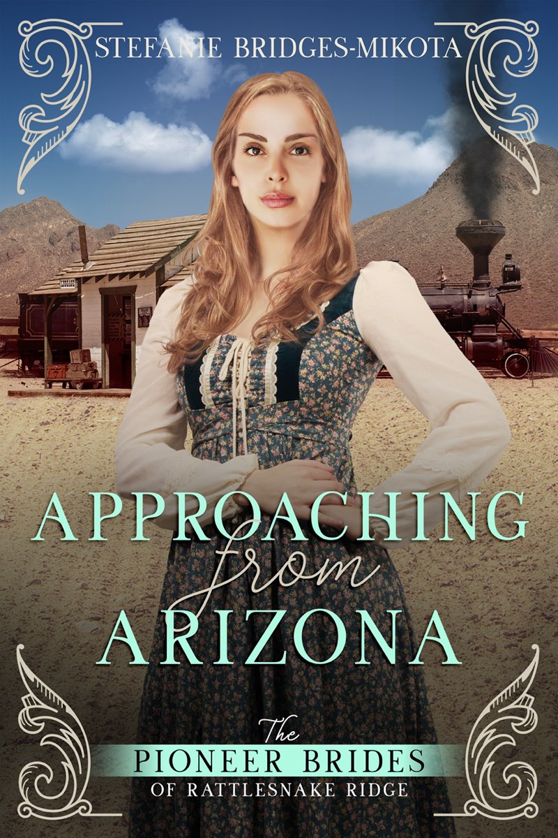 The Pioneer Brides of Rattlesnake Ridge book cover 3