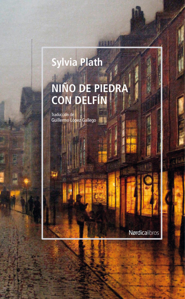 Niño de piedra con delfín book cover