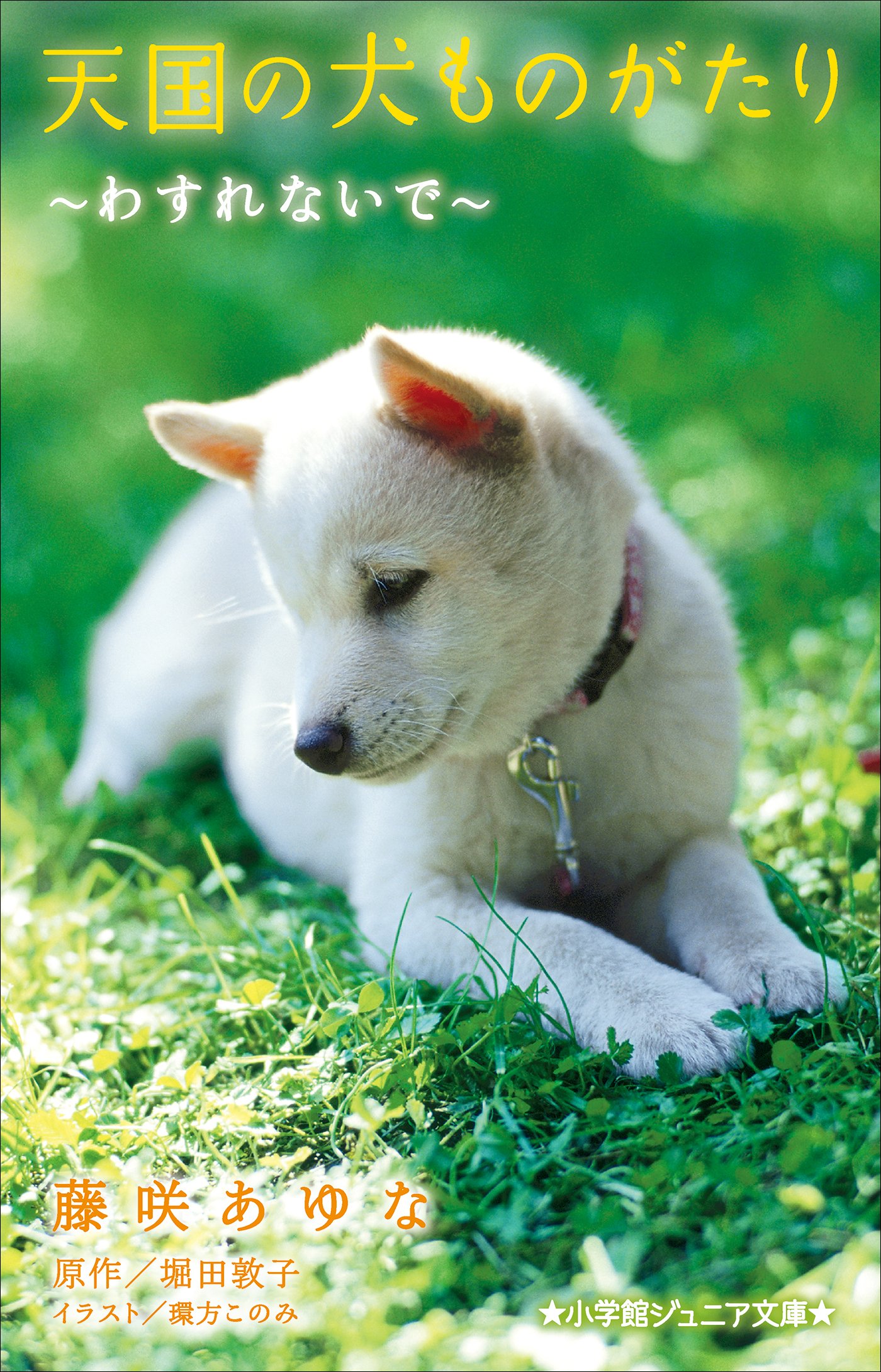 小学館ジュニア文庫 天国の犬ものがたり わすれないで By 藤咲あゆな Goodreads