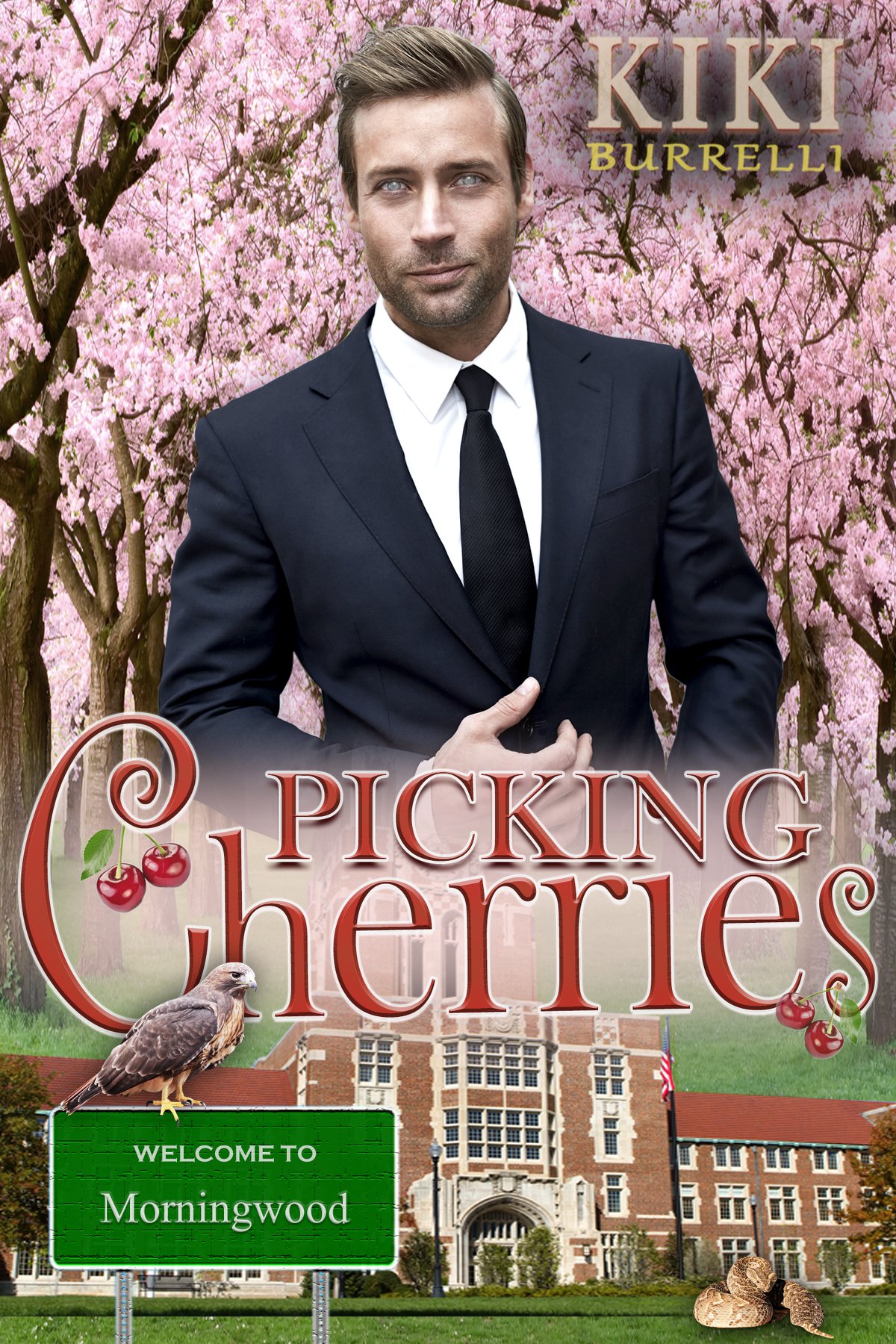 Picking Cherries book cover