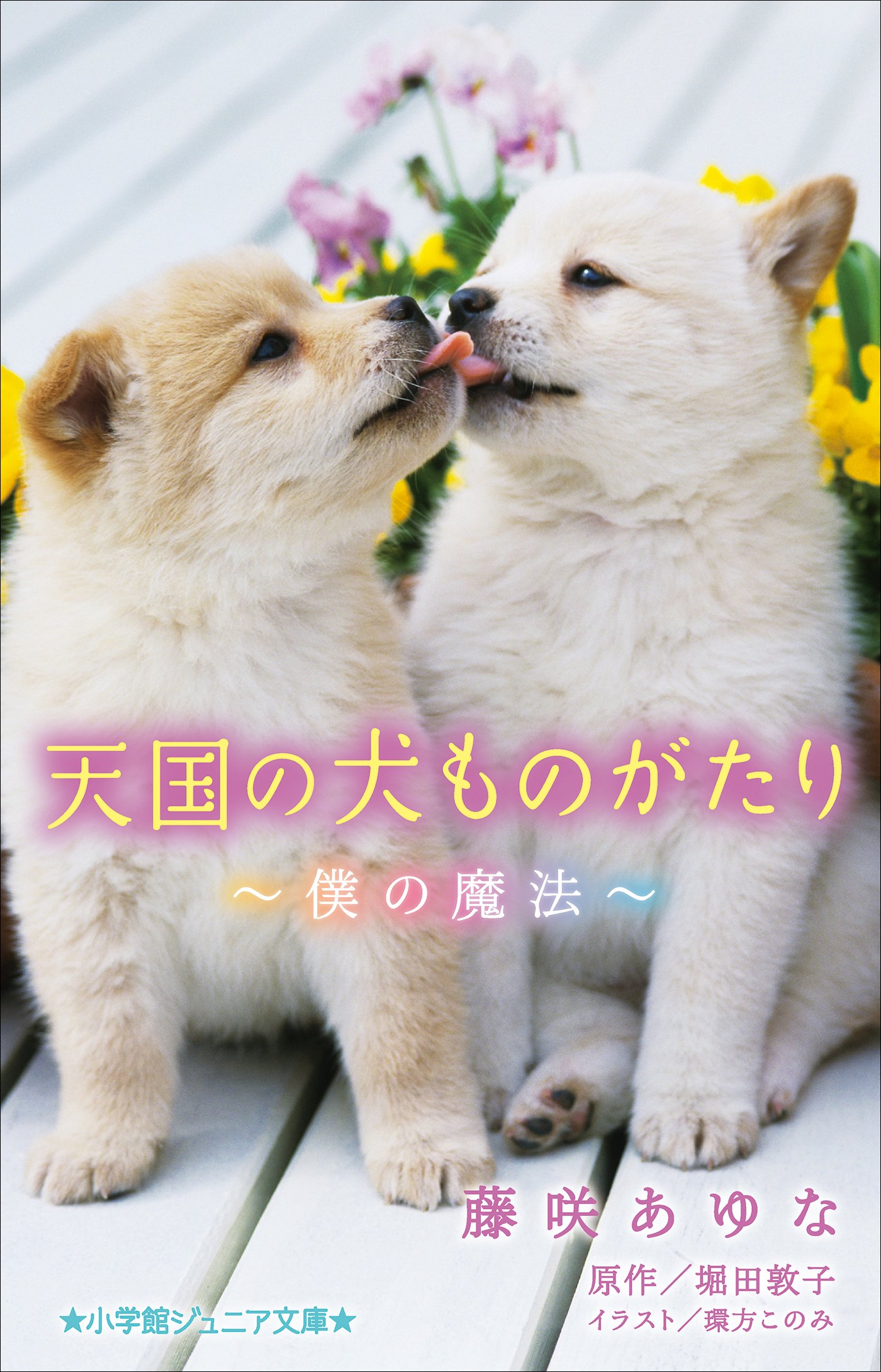 小学館ジュニア文庫 天国の犬ものがたり 僕の魔法 By 藤咲あゆな Goodreads