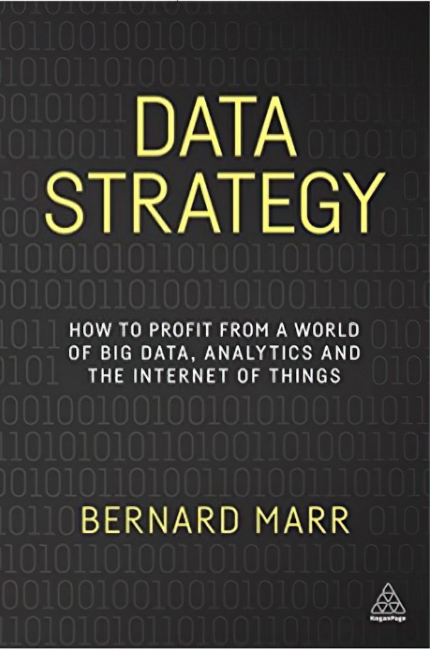 Data Strategy: How to Profit from a World of Big Data, Analytics and the Internet of Things