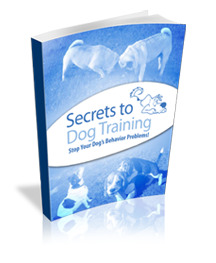 Secrets To Dog Training