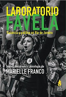 Laboratorio Favela book cover