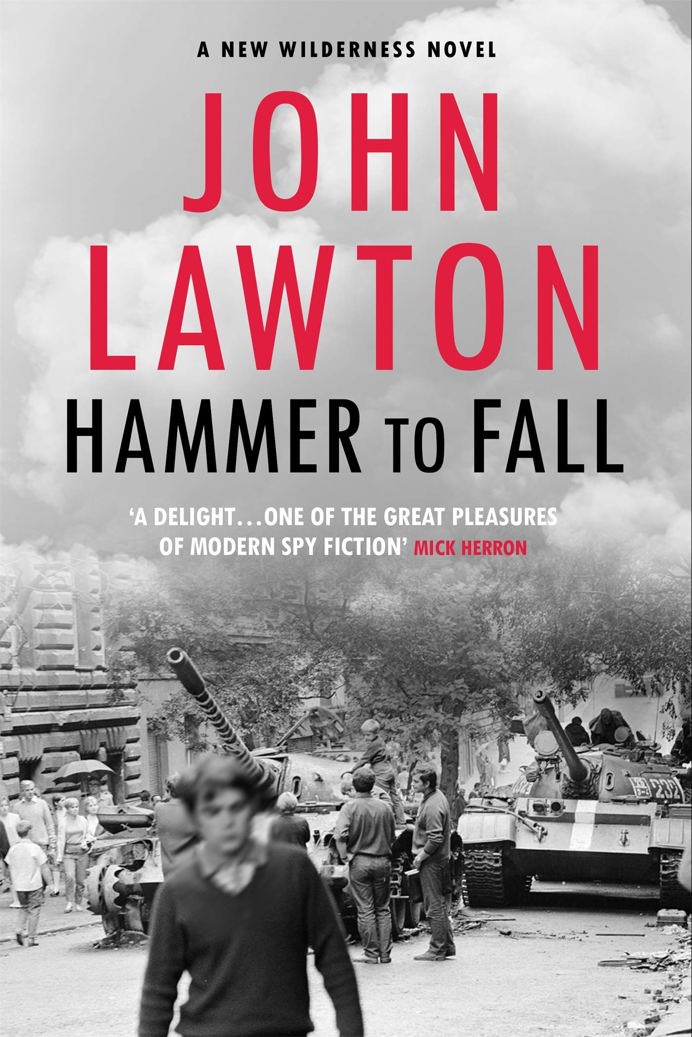 Hammer to Fall book cover