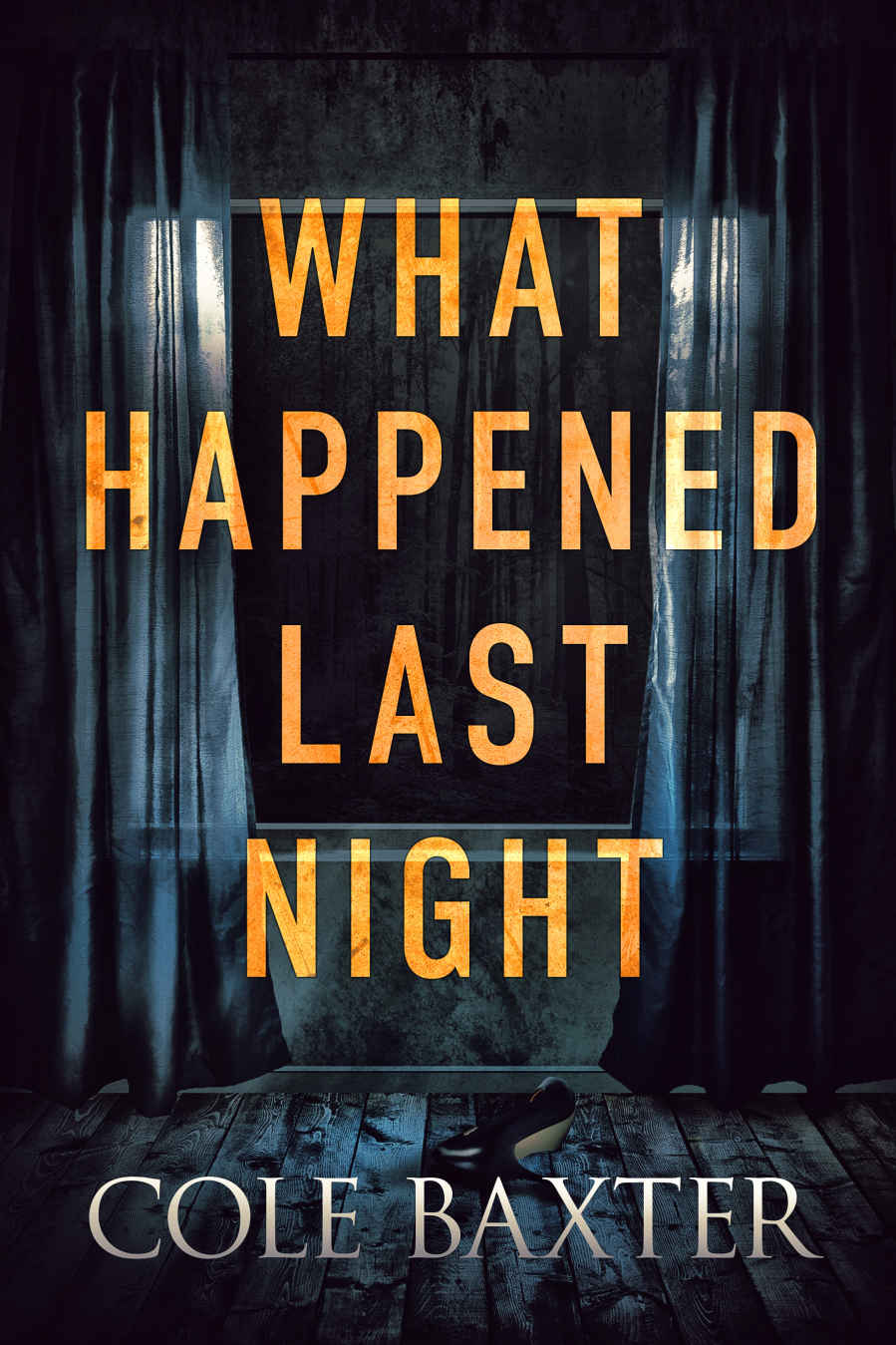 What Happened Last Night book cover