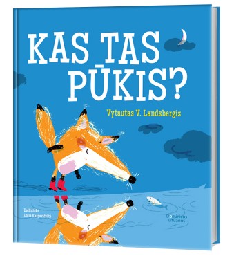 Kas tas Pūkis?