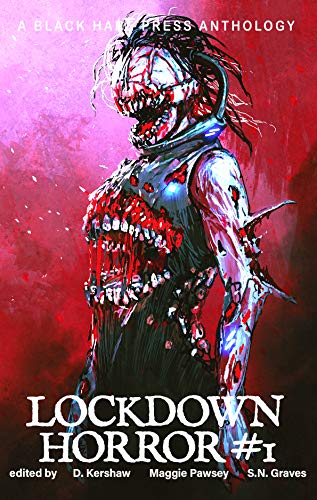 Lockdown Horror book cover 1