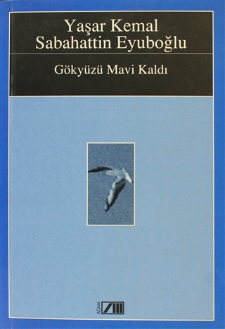 Gökyüzü Mavi Kaldı book cover