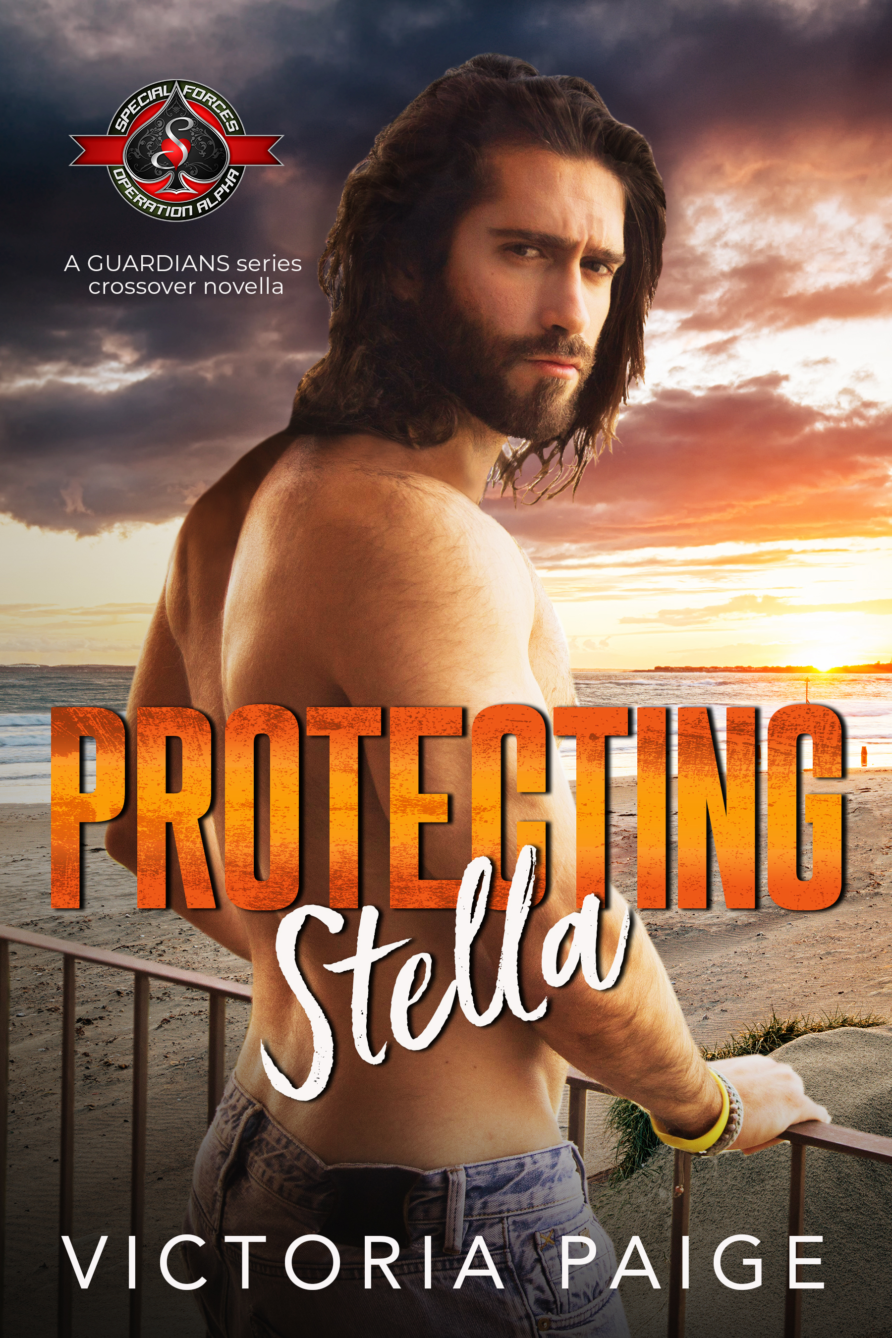 Protecting Stella book cover