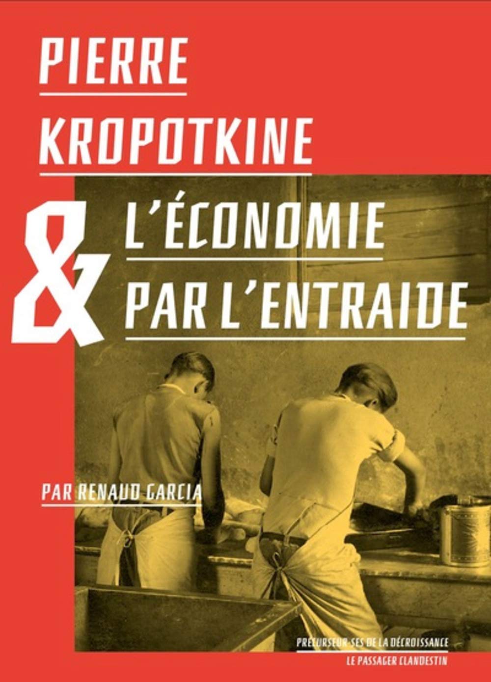 Les précurseurs de la décroissance book cover 1