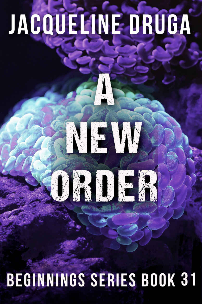 A New Order book cover