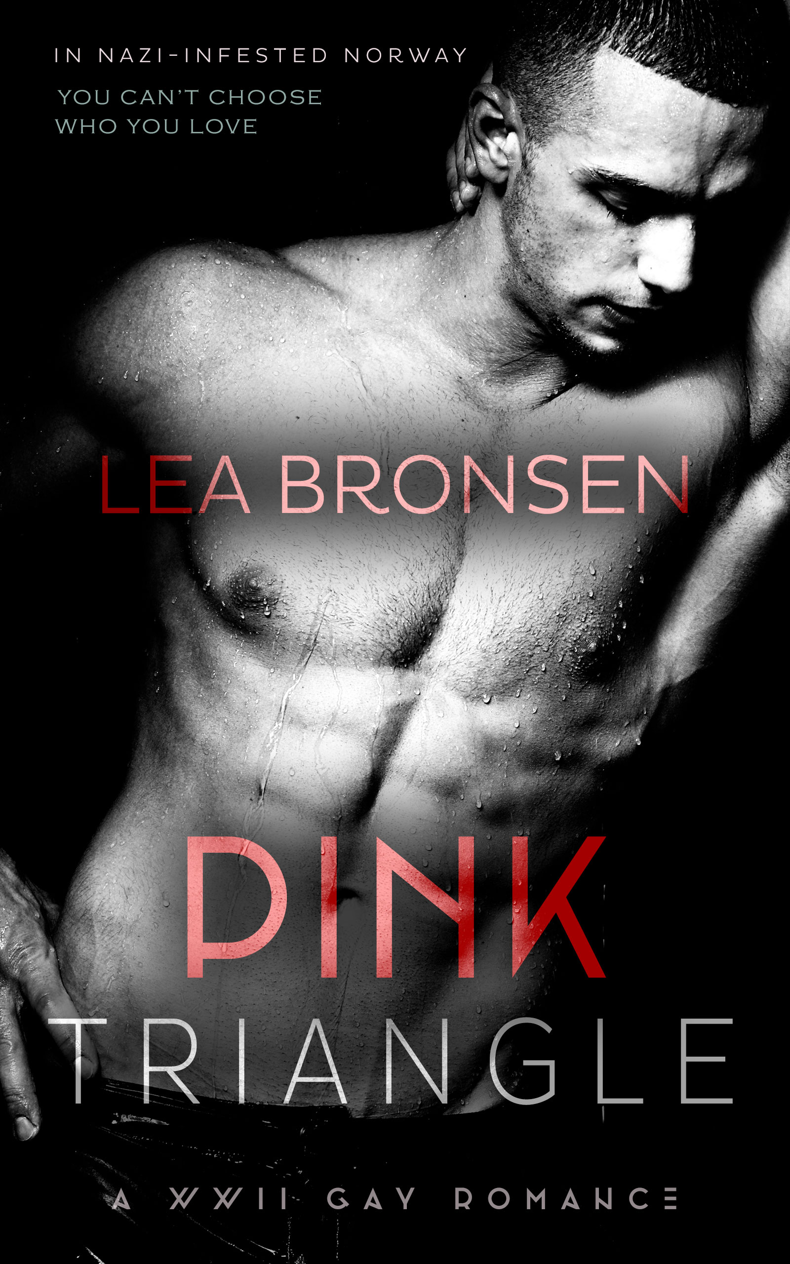Pink Triangle book cover