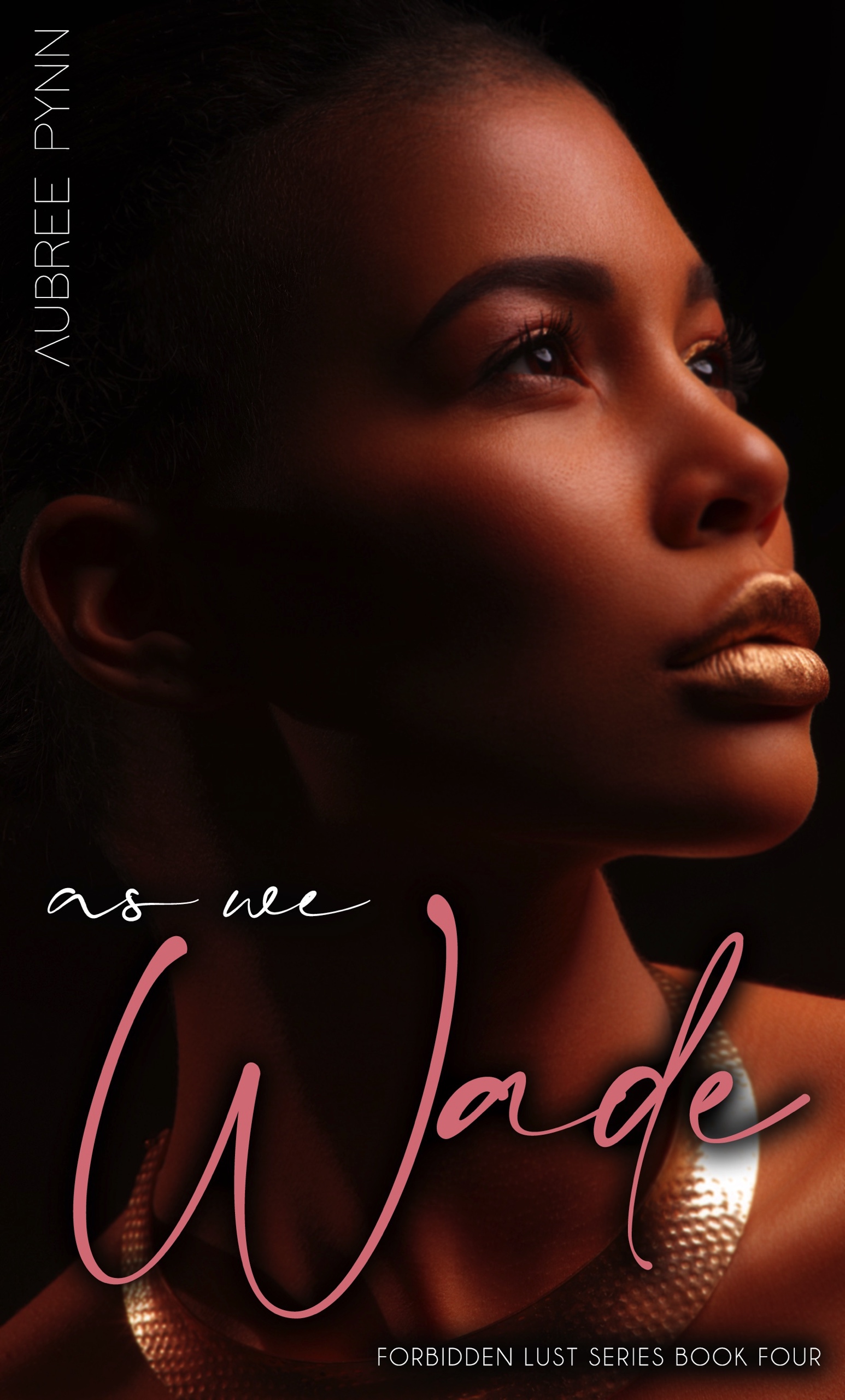 As We Wade book cover