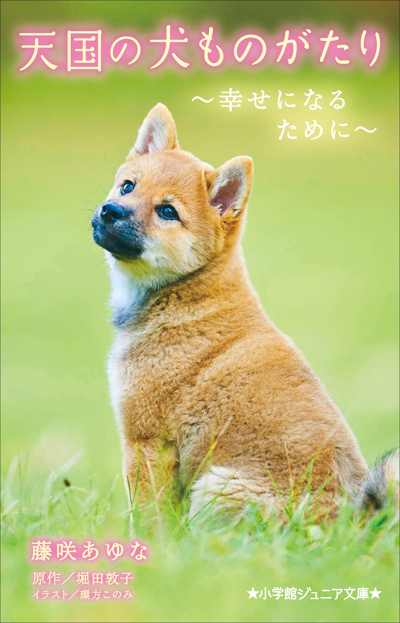 小学館ジュニア文庫 天国の犬ものがたり 幸せになるために By 藤咲あゆな Goodreads