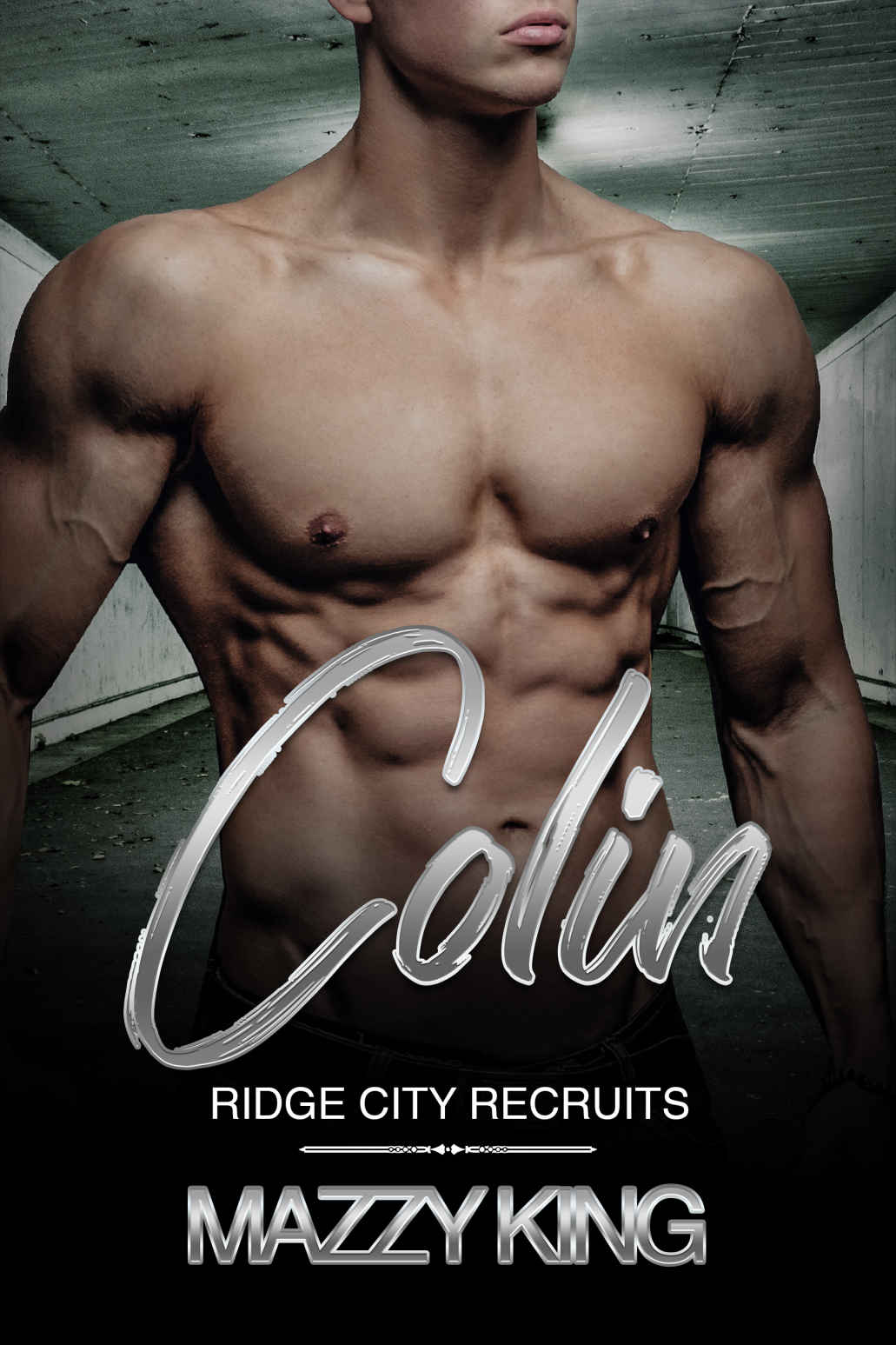 Ridge City Recruits book cover 2