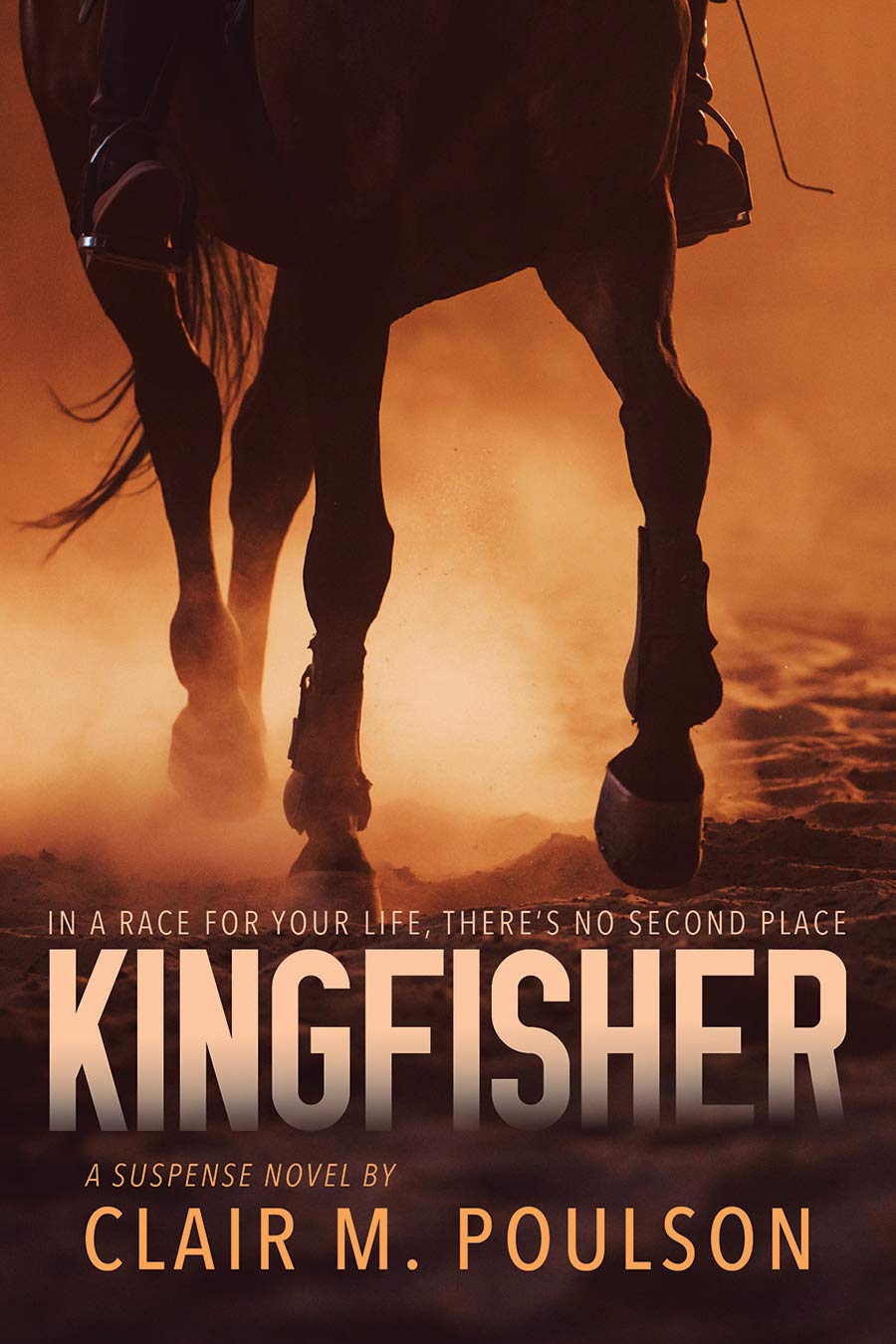Kingfisher book cover