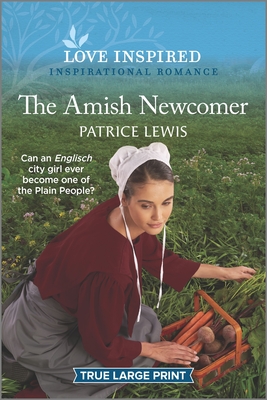 The Amish Newcomer