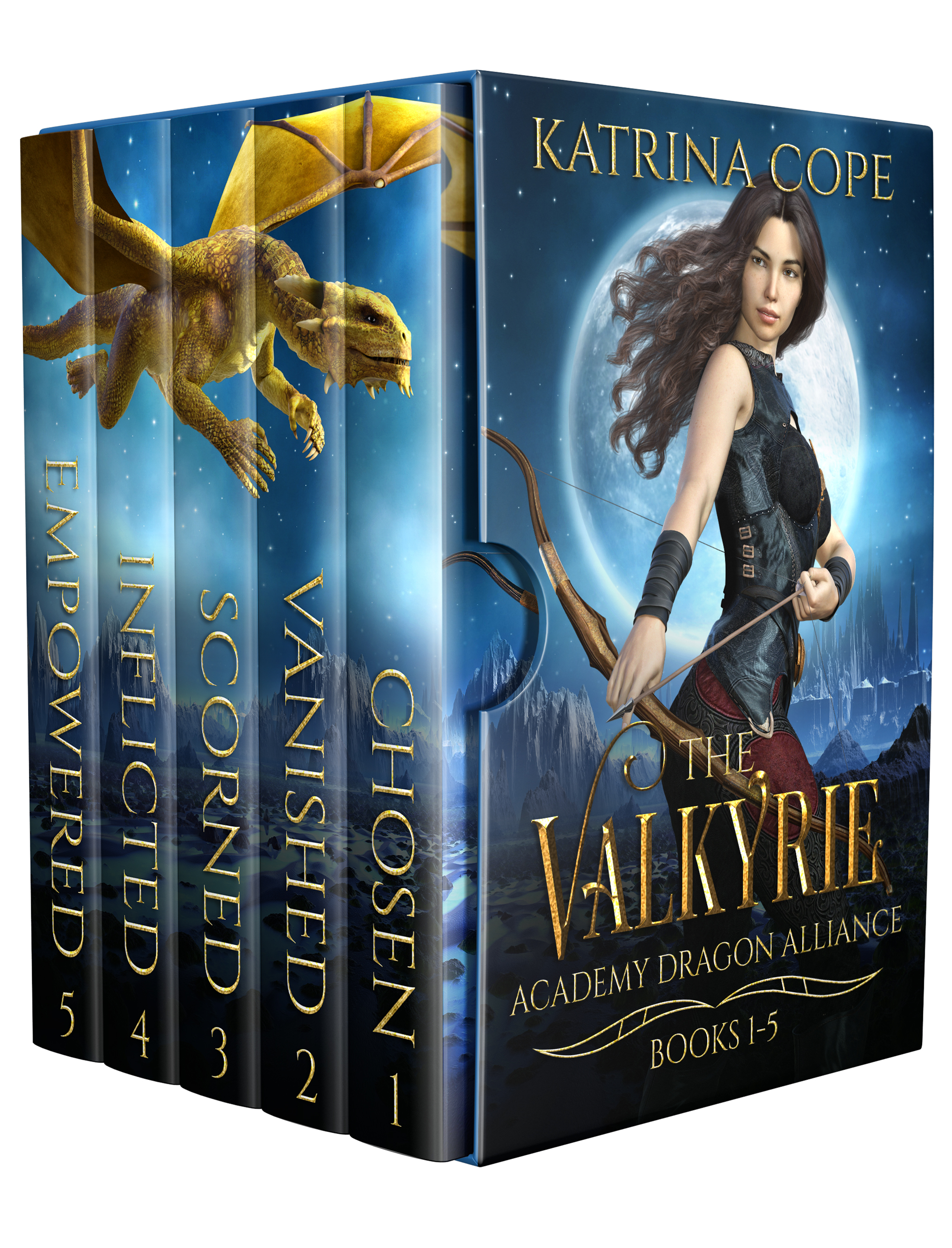 Valkyrie Academy Dragon Alliance: Collection Books 1-5