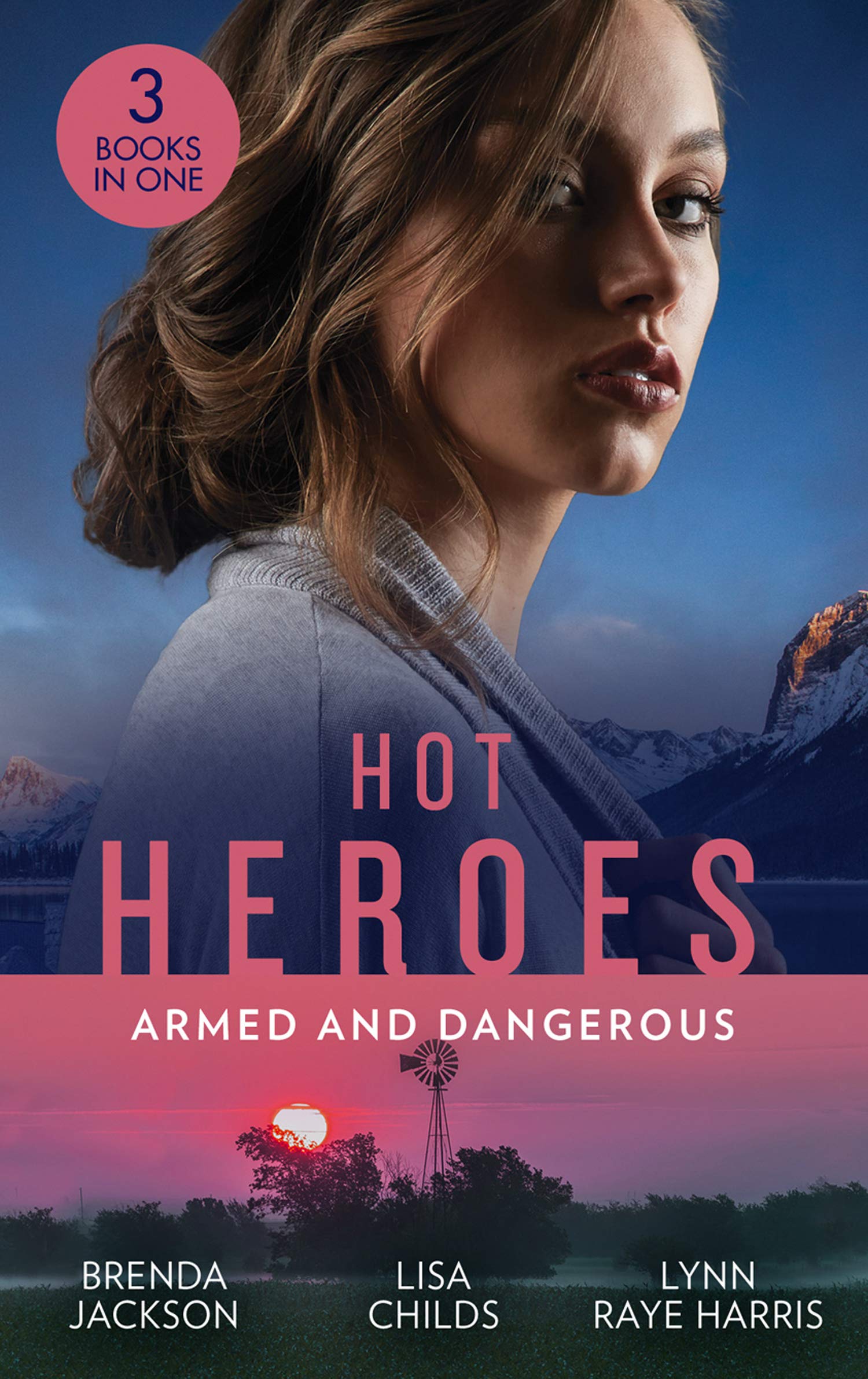 Hot Heroes book cover