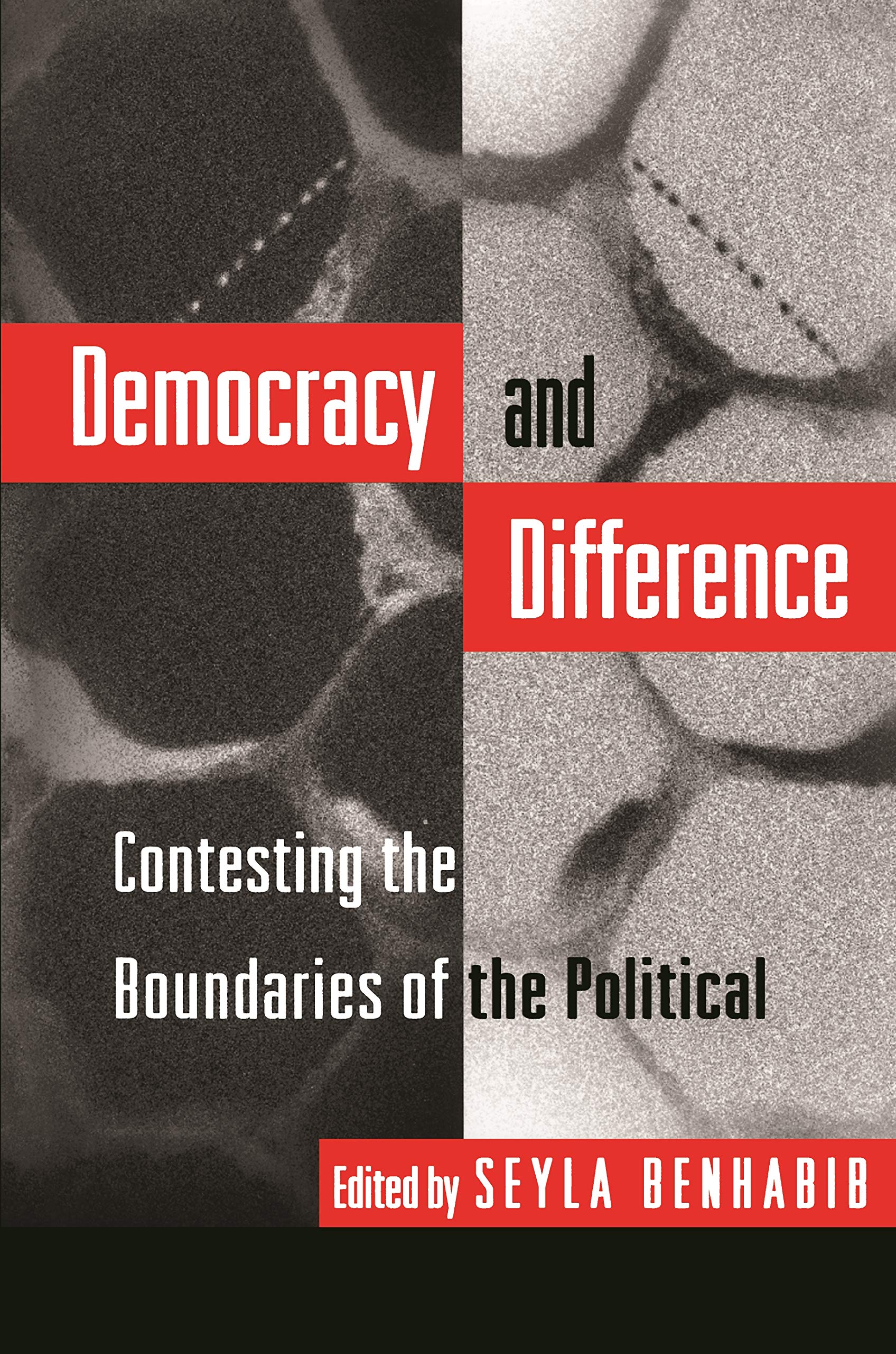 Democracy and Difference book cover