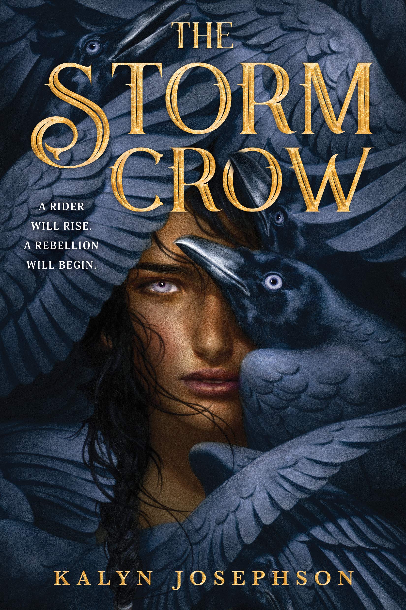 The Storm Crow (The Storm Crow, #1)