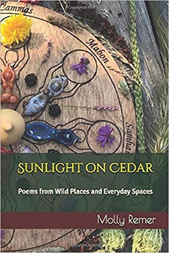 Sunlight On Cedar: Poems from Wild Places and Everyday Spaces
