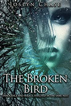 The Broken Bird book cover