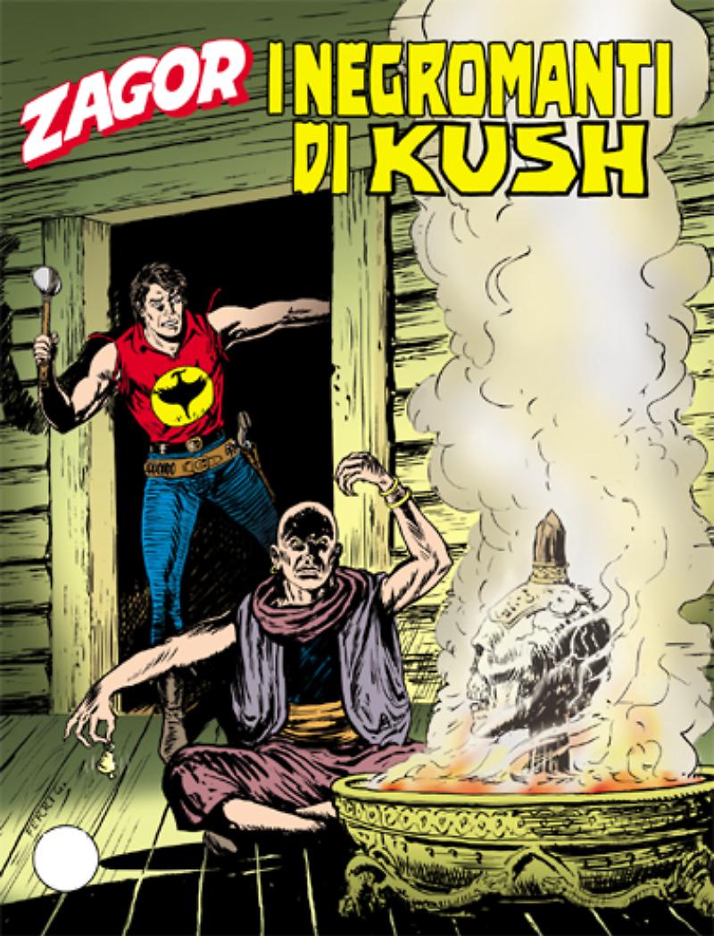 Zagor n. 553 book cover